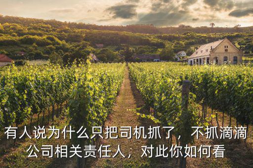 有人說為什么只把司機(jī)抓了，不抓滴滴公司相關(guān)責(zé)任人，對(duì)此你如何看
