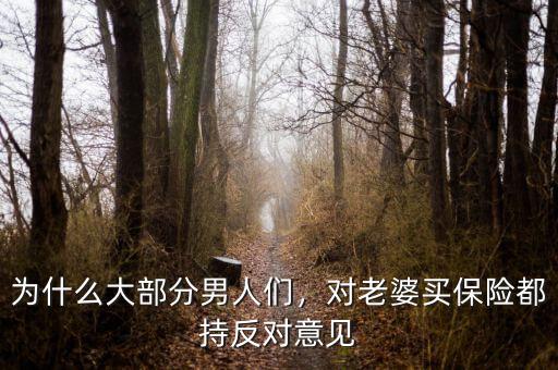 為什么大部分男人們，對(duì)老婆買保險(xiǎn)都持反對(duì)意見