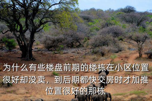 為什么有些樓盤(pán)前期的樓棟在小區(qū)位置很好卻沒(méi)賣(mài)，到后期都快交房時(shí)才加推位置很好的那棟