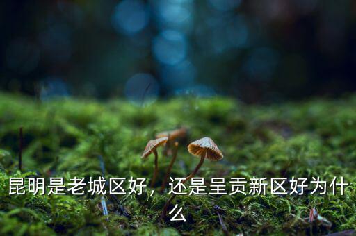 昆明是老城區(qū)好，還是呈貢新區(qū)好為什么