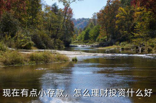 現(xiàn)在有點(diǎn)小存款，怎么理財投資什么好