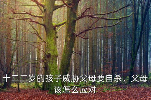 十二三歲的孩子威脅父母要自殺，父母該怎么應(yīng)對