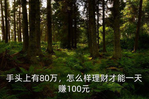 手頭上有80萬，怎么樣理財才能一天賺100元