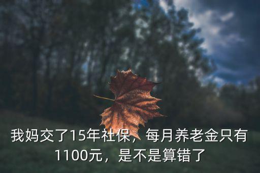 我媽交了15年社保，每月養(yǎng)老金只有1100元，是不是算錯了