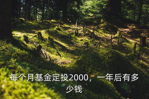 每個(gè)月基金定投2000，一年后有多少錢