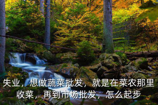 失業(yè)，想做蔬菜批發(fā)，就是在菜農(nóng)那里收菜，再到市場批發(fā)，怎么起步