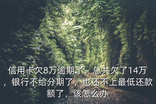 信用卡欠8萬逾期了，總共欠了14萬，銀行不給分期了，也還不上最低還款額了，該怎么辦