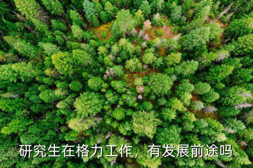 研究生在格力工作，有發(fā)展前途嗎