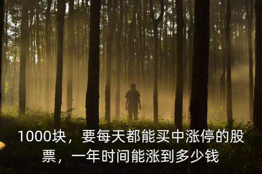1000塊，要每天都能買中漲停的股票，一年時間能漲到多少錢