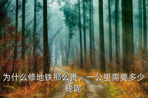 為什么修地鐵那么貴，一公里需要多少錢呢