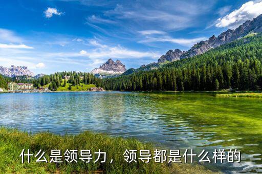 什么是領(lǐng)導(dǎo)力，領(lǐng)導(dǎo)都是什么樣的
