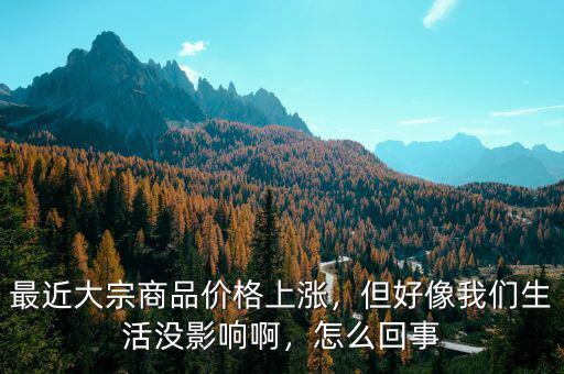 最近大宗商品價(jià)格上漲，但好像我們生活沒(méi)影響啊，怎么回事
