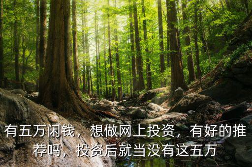 有五萬閑錢，想做網(wǎng)上投資，有好的推薦嗎，投資后就當沒有這五萬