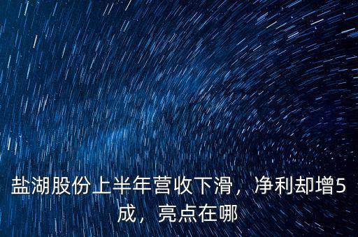 鹽湖股份上半年營收下滑，凈利卻增5成，亮點在哪