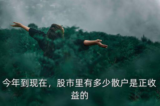 今年到現(xiàn)在，股市里有多少散戶是正收益的