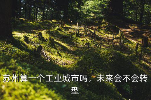 蘇州算一個(gè)工業(yè)城市嗎，未來會(huì)不會(huì)轉(zhuǎn)型