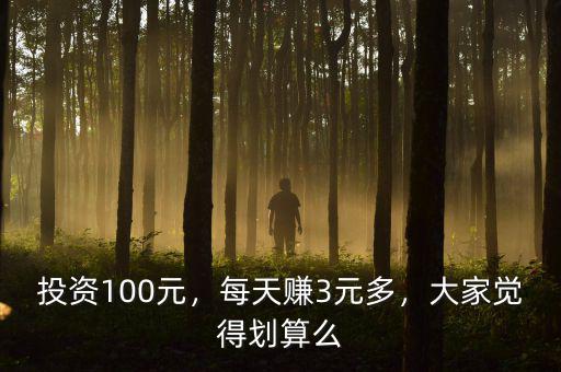 投資100元，每天賺3元多，大家覺得劃算么