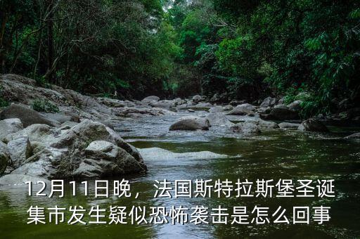 12月11日晚，法國斯特拉斯堡圣誕集市發(fā)生疑似恐怖襲擊是怎么回事