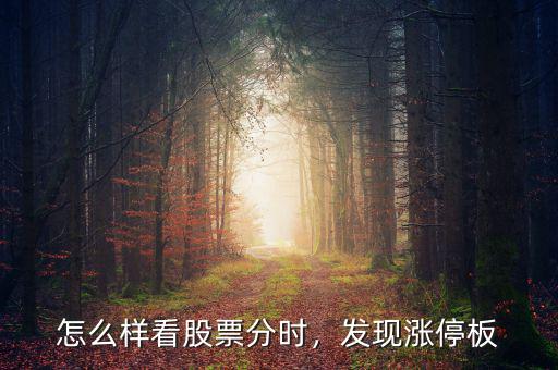 怎么樣看股票分時(shí)，發(fā)現(xiàn)漲停板