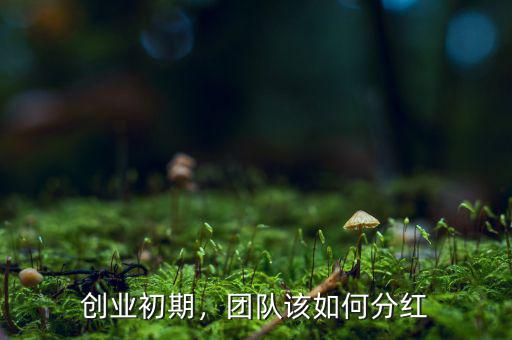 創(chuàng)業(yè)初期，團(tuán)隊(duì)該如何分紅