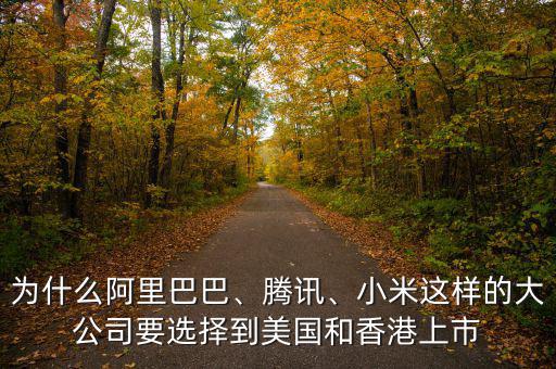 為什么阿里巴巴、騰訊、小米這樣的大公司要選擇到美國和香港上市