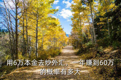 用6萬本金去炒外匯，一年賺到60萬的概率有多大