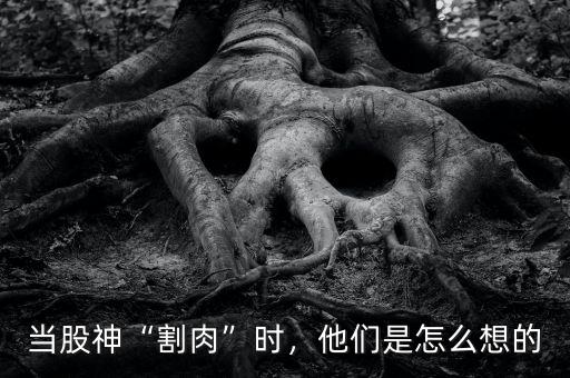 當(dāng)股神“割肉”時(shí)，他們是怎么想的