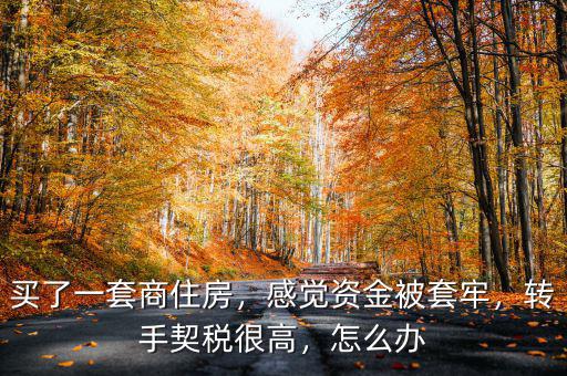 買了一套商住房，感覺資金被套牢，轉(zhuǎn)手契稅很高，怎么辦