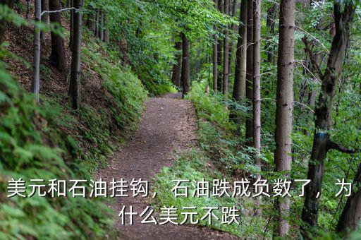 美元和石油掛鉤，石油跌成負數(shù)了，為什么美元不跌