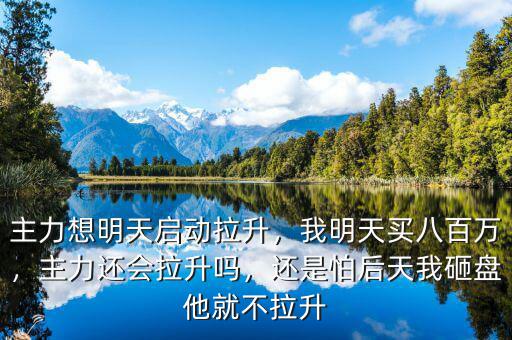 主力想明天啟動(dòng)拉升，我明天買八百萬，主力還會(huì)拉升嗎，還是怕后天我砸盤他就不拉升