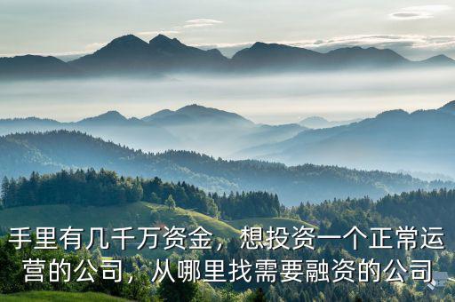 手里有幾千萬資金，想投資一個正常運營的公司，從哪里找需要融資的公司