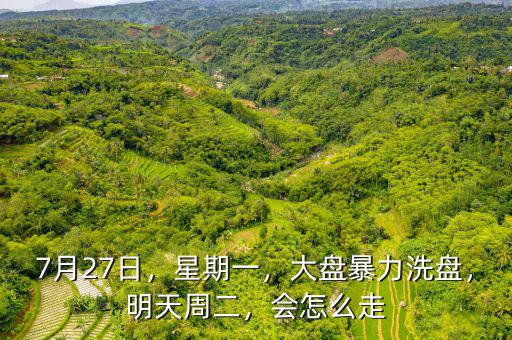 7月27日，星期一，大盤(pán)暴力洗盤(pán)，明天周二，會(huì)怎么走