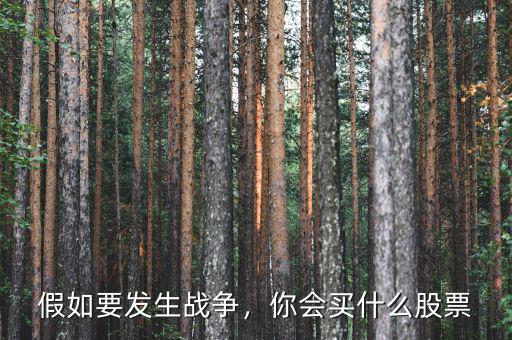 假如要發(fā)生戰(zhàn)爭，你會買什么股票