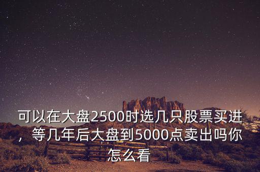 可以在大盤2500時(shí)選幾只股票買進(jìn)，等幾年后大盤到5000點(diǎn)賣出嗎你怎么看
