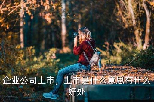 企業(yè)公司上市，上市是什么意思有什么好處