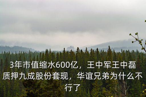 3年市值縮水600億，王中軍王中磊質押九成股份套現(xiàn)，華誼兄弟為什么不行了