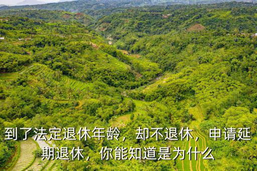 到了法定退休年齡，卻不退休，申請延期退休，你能知道是為什么