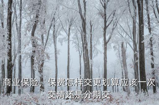 商業(yè)保險(xiǎn)，保費(fèi)怎樣交更劃算應(yīng)該一次交清還是分期交