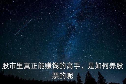 股市里真正能賺錢的高手，是如何養(yǎng)股票的呢