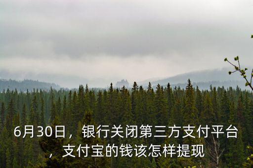 支付寶零錢(qián)怎么提現(xiàn),支付寶的錢(qián)該怎樣提現(xiàn)