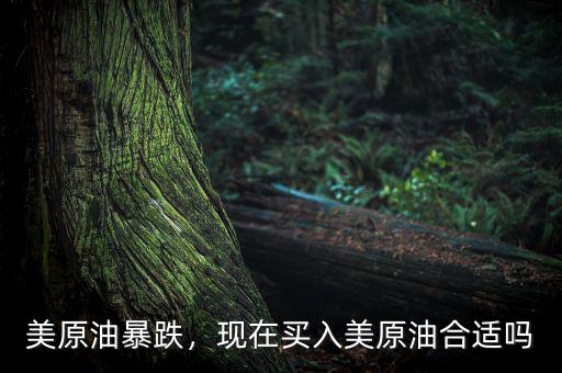 美原油暴跌，現(xiàn)在買入美原油合適嗎