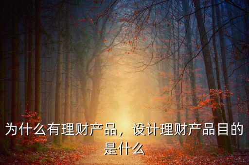 為什么有理財(cái)產(chǎn)品，設(shè)計(jì)理財(cái)產(chǎn)品目的是什么