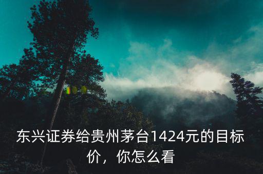 東興證券給貴州茅臺1424元的目標(biāo)價，你怎么看