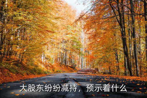 大股東紛紛減持，預(yù)示著什么