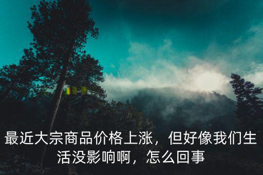 最近大宗商品價格上漲，但好像我們生活沒影響啊，怎么回事