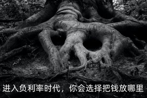 進(jìn)入負(fù)利率時(shí)代，你會選擇把錢放哪里