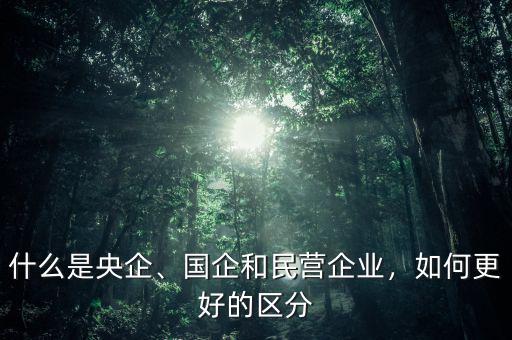 什么是央企、國(guó)企和民營(yíng)企業(yè)，如何更好的區(qū)分