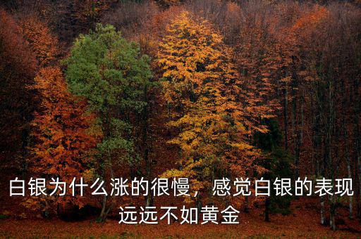 白銀為什么漲的很慢，感覺白銀的表現(xiàn)遠(yuǎn)遠(yuǎn)不如黃金