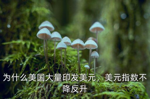 為什么美國大量印發(fā)美元，美元指數(shù)不降反升