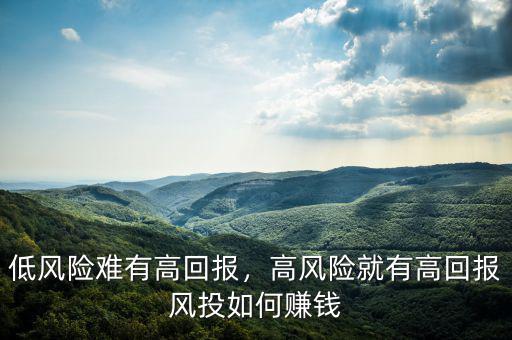 低風(fēng)險難有高回報，高風(fēng)險就有高回報風(fēng)投如何賺錢
